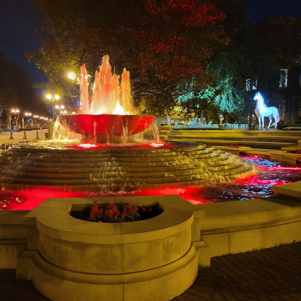 Meet your Posher, Yolanda